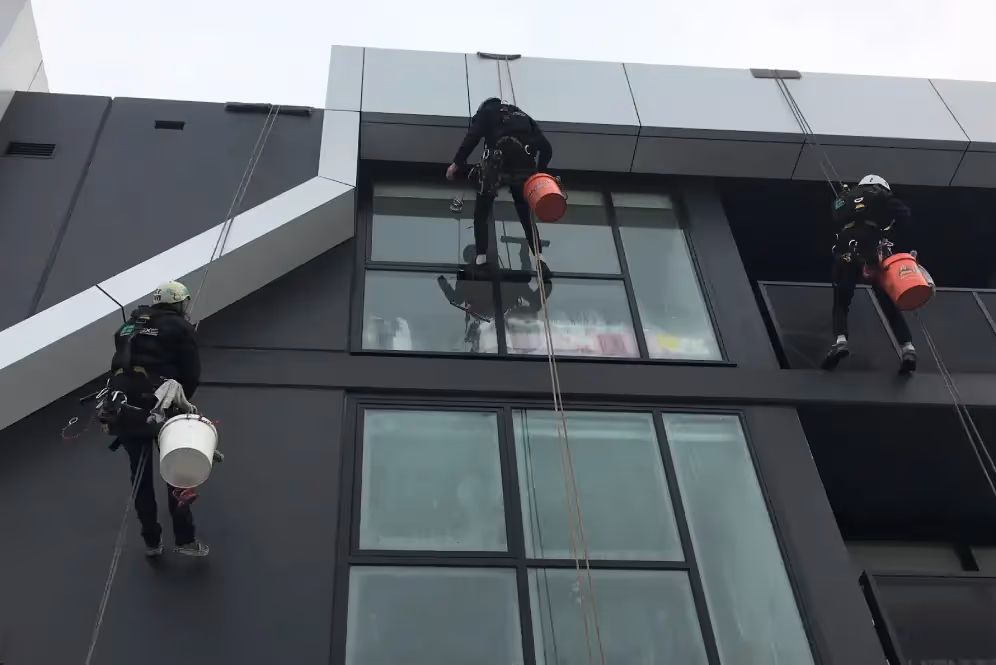 Three rope access workers suspended on harnesses, cleaning windows.