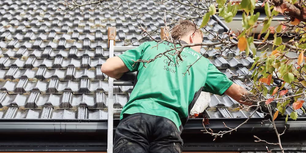 Technician cleaning leaves and debris from residential roof gutters.