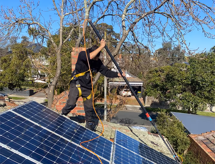 Specialist technician cleaning rooftop solar panels on a Mulgrave home near established residential streets.