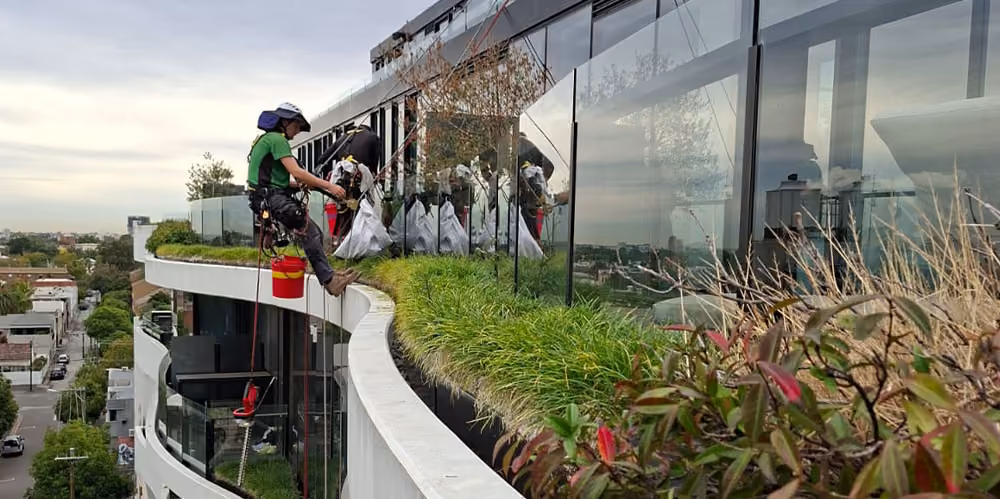 Rope access technician maintaining elevated planter boxes and glazing on a curved residential apartment building.