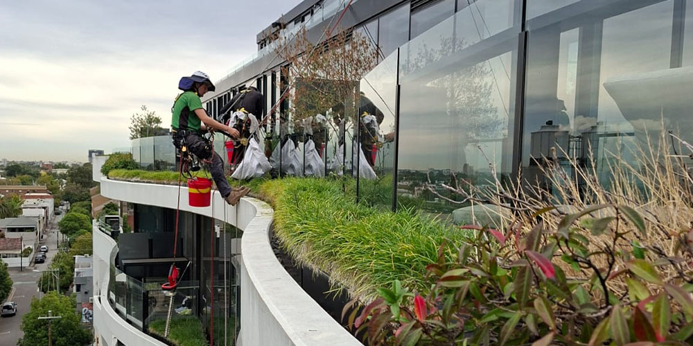 Rope access technician maintaining elevated planter boxes and glazing on a curved residential apartment building.