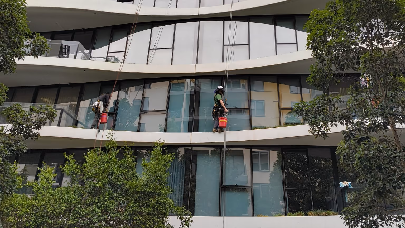 Bax Clean rope access technicians cleaning windows on a multi-storey residential building