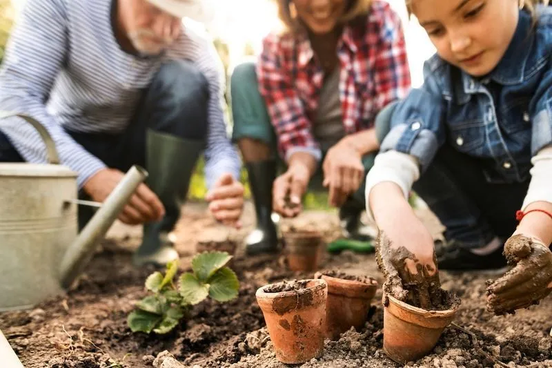 Gardening Improves Your Mental Health