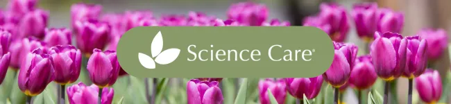  This Month: Reducing Stress, Memorializing a Loved One, and More!