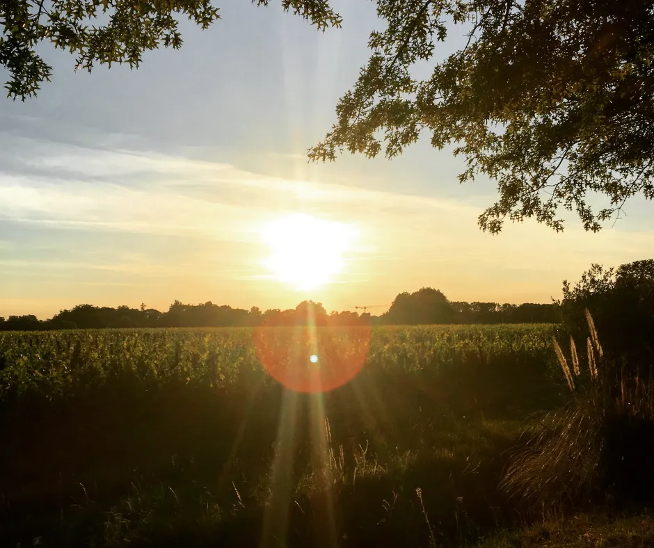 Memory in Nature®: A Lasting, Living Legacy
