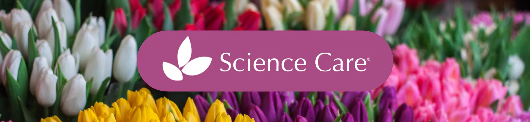 This Month: Staying Safe Online, Coping with Loneliness, and More!
