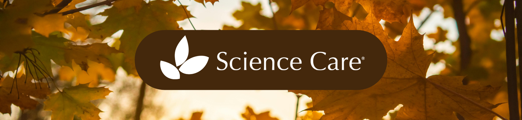 This Month: Gratitude in Action, New Beginnings, Staying Engaged, and More!