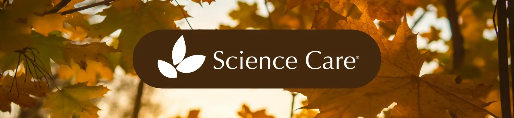 This Month: Gratitude in Action, New Beginnings, Staying Engaged, and More!