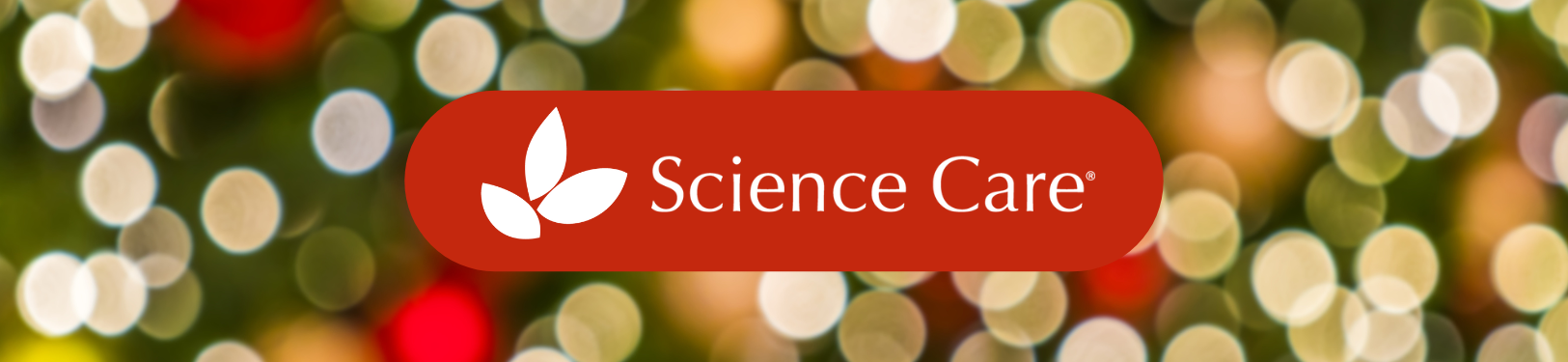 This Month: Year End Reflections, eBook, and More!