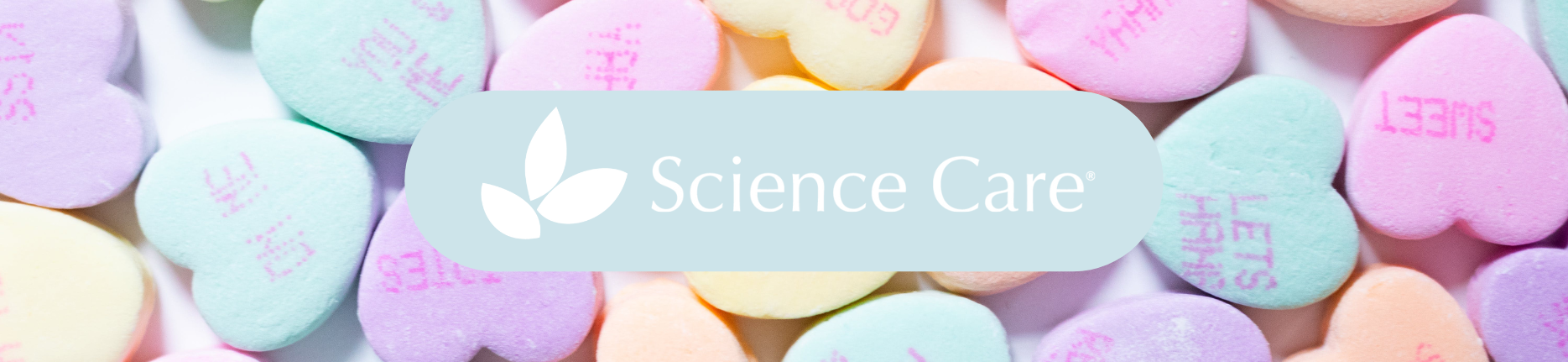 Talking About Death Without Fear, Mental Health & Aging, Common Grieving Myths, and More!