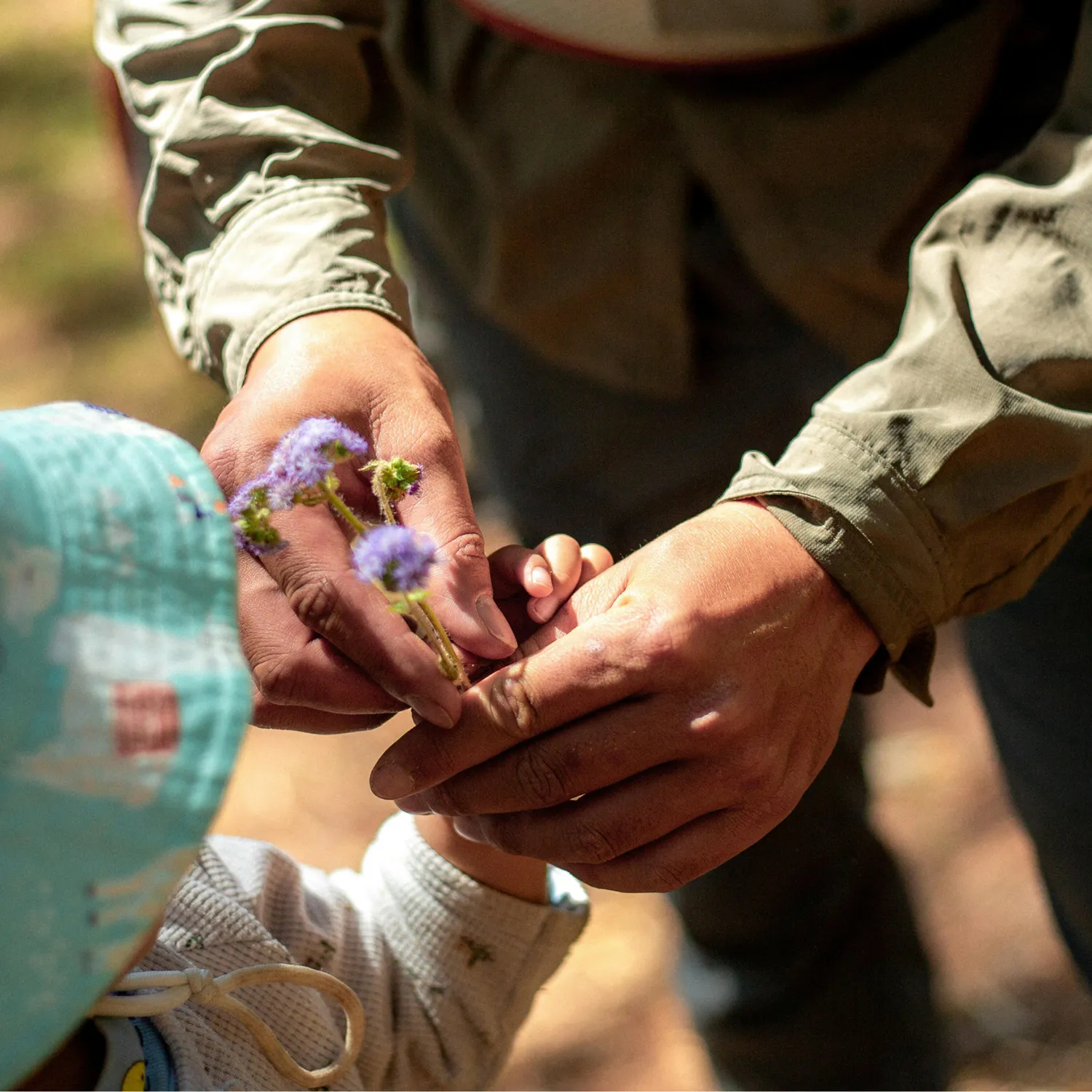 Gratitude After Loss: How Giving Can Support the Healing Process