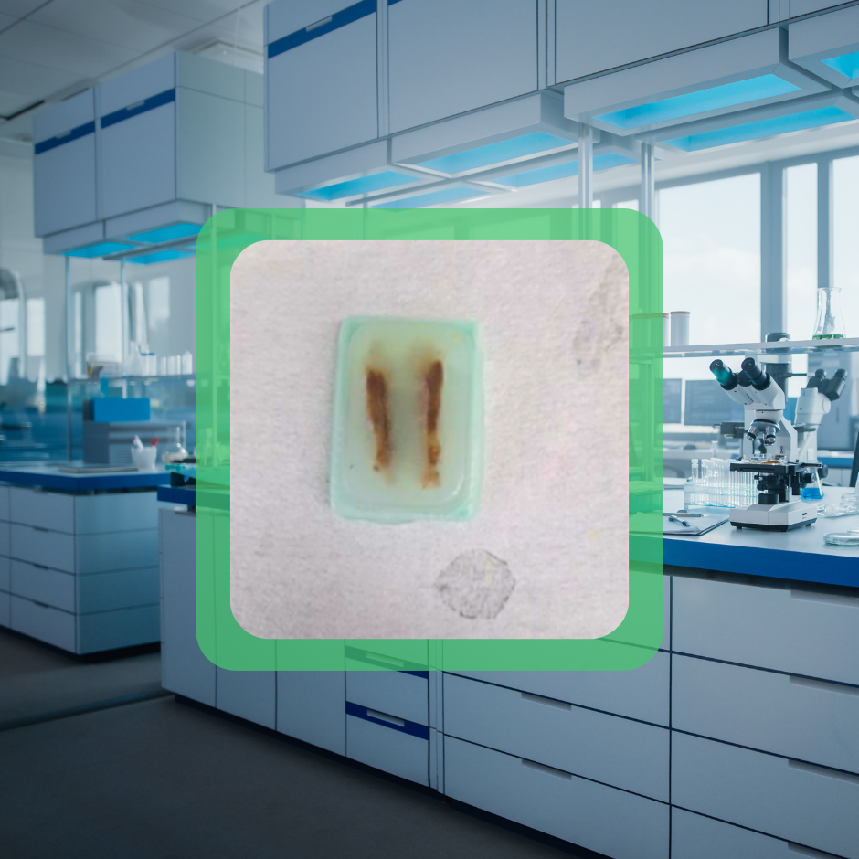 Expanding Biospecimen Services to Support Research, Education, and Scientific Innovation