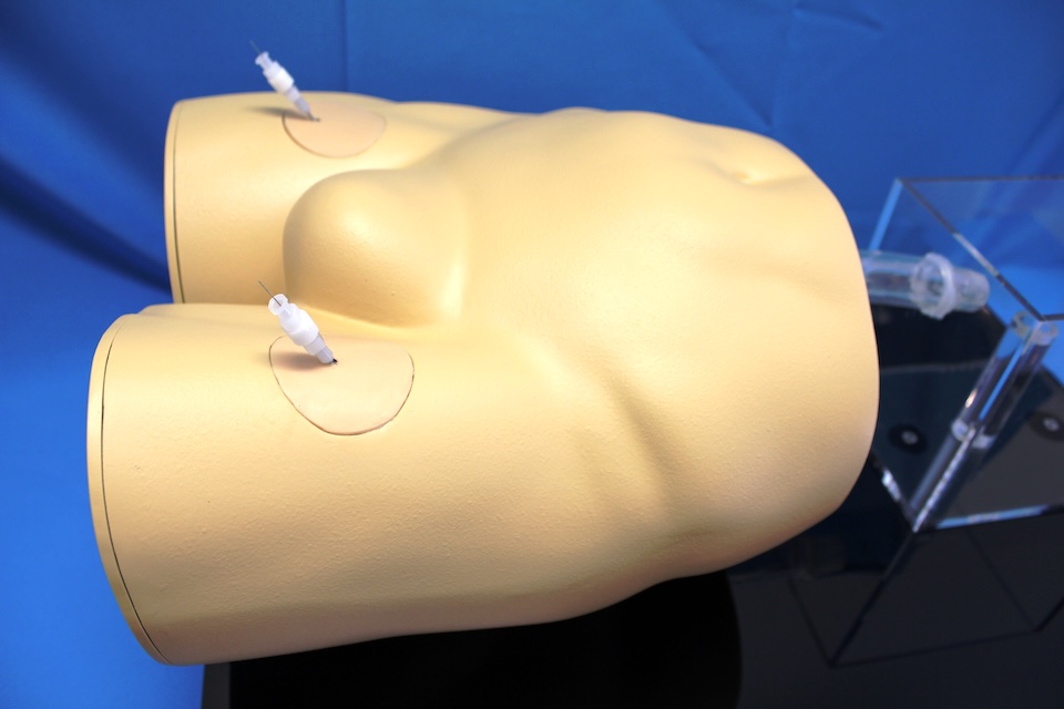 cardiovascular model