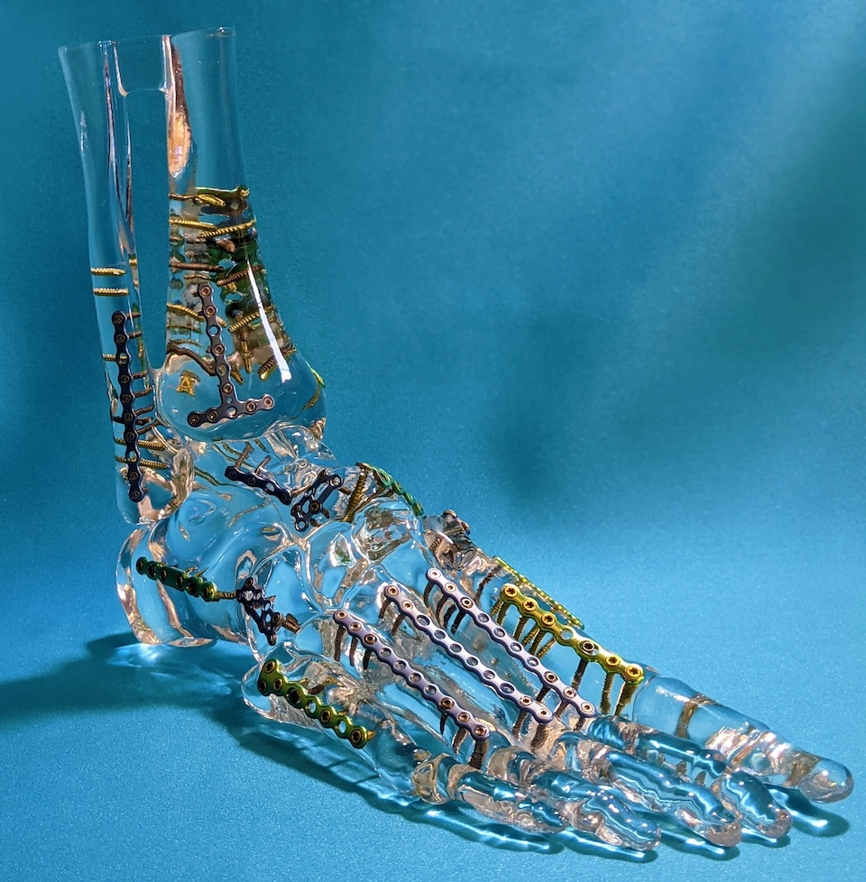 cardiovascular model