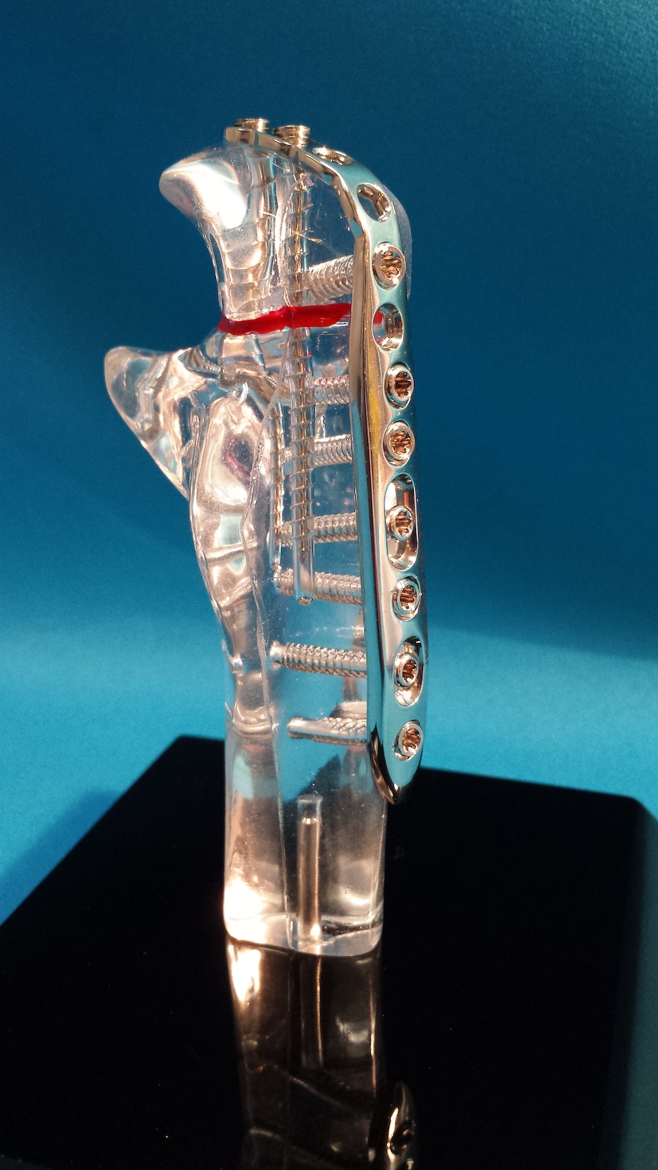 cardiovascular model