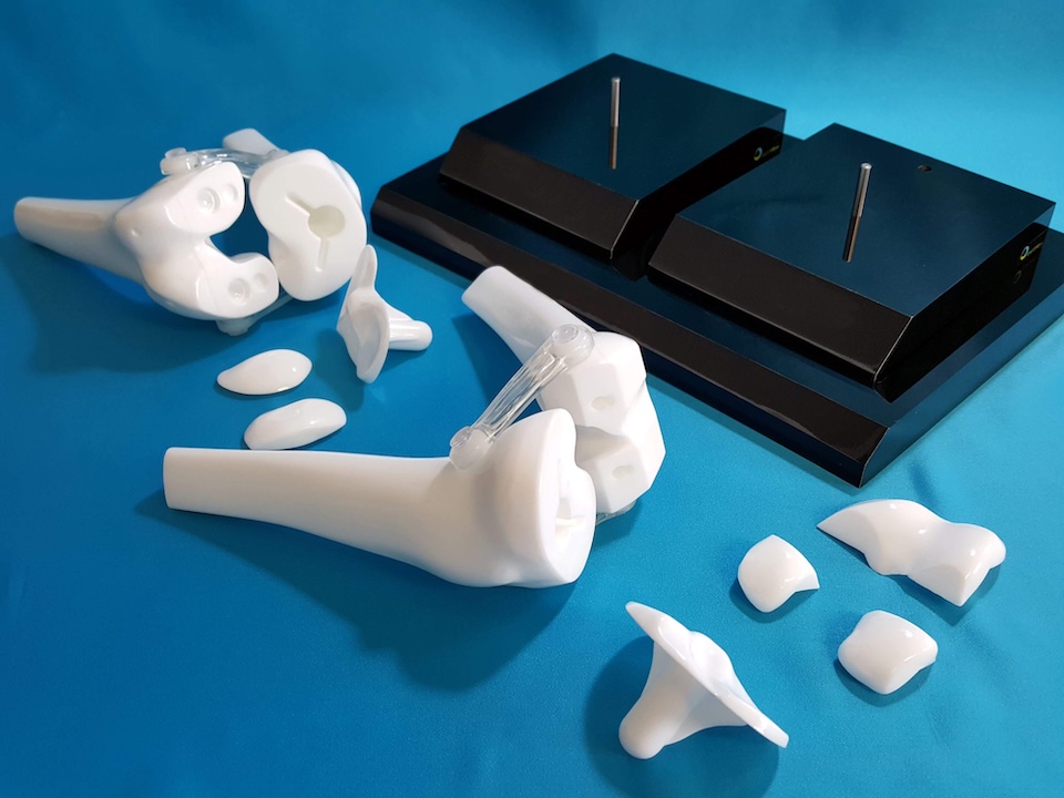 cardiovascular model