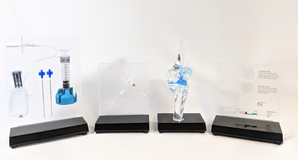 cardiovascular model