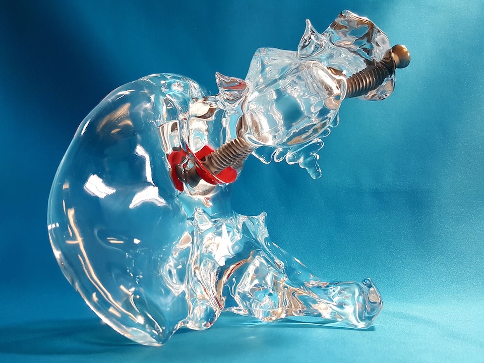 cardiovascular model