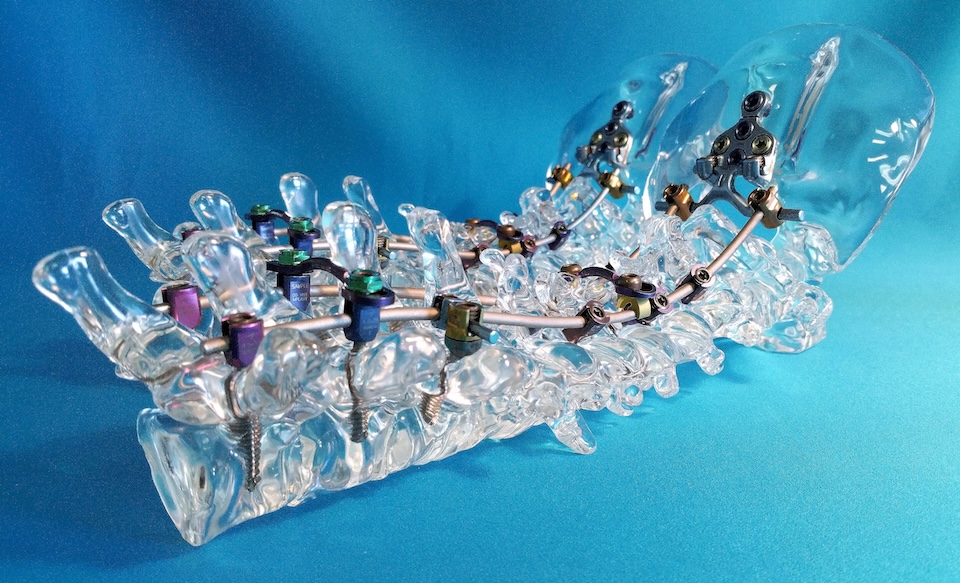 cardiovascular model