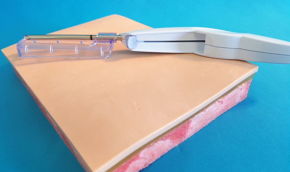 cardiovascular model