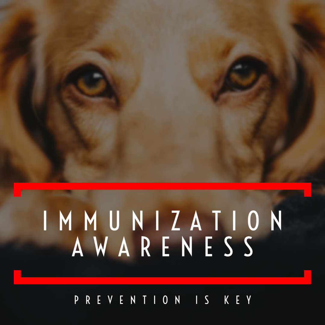 Immunization Awareness Banner
