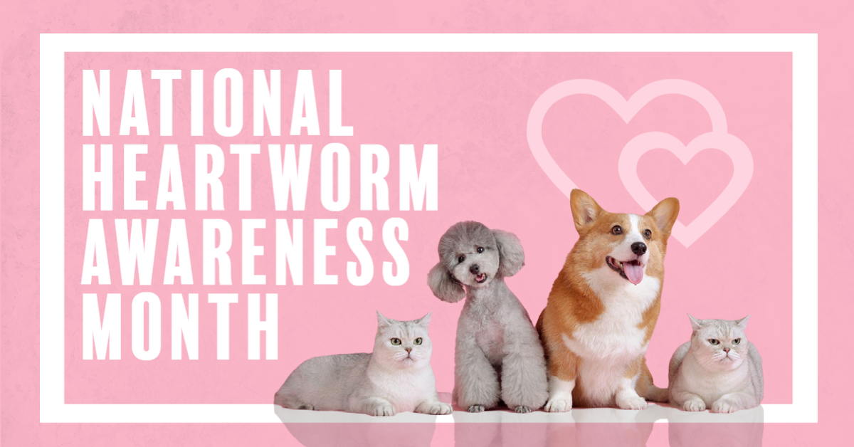 Heartworm Awareness Month 