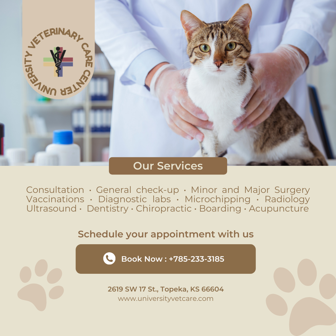 Learn More About UVCC Banner