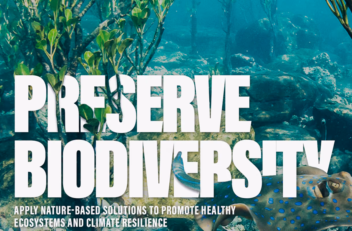 Sustainable Ocean Alliance brand system
