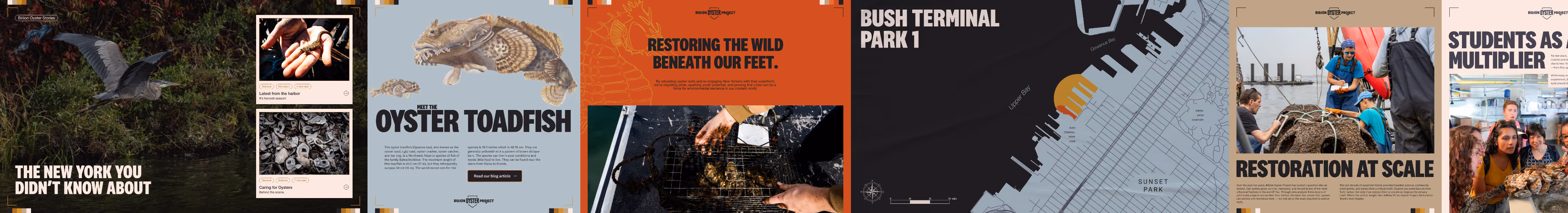 Winning stylescape, part 2: ‘Oyster toadfish’, ‘Restoring the wild beneath our feet’, a Bush Terminal map and ‘Restoration at scale’