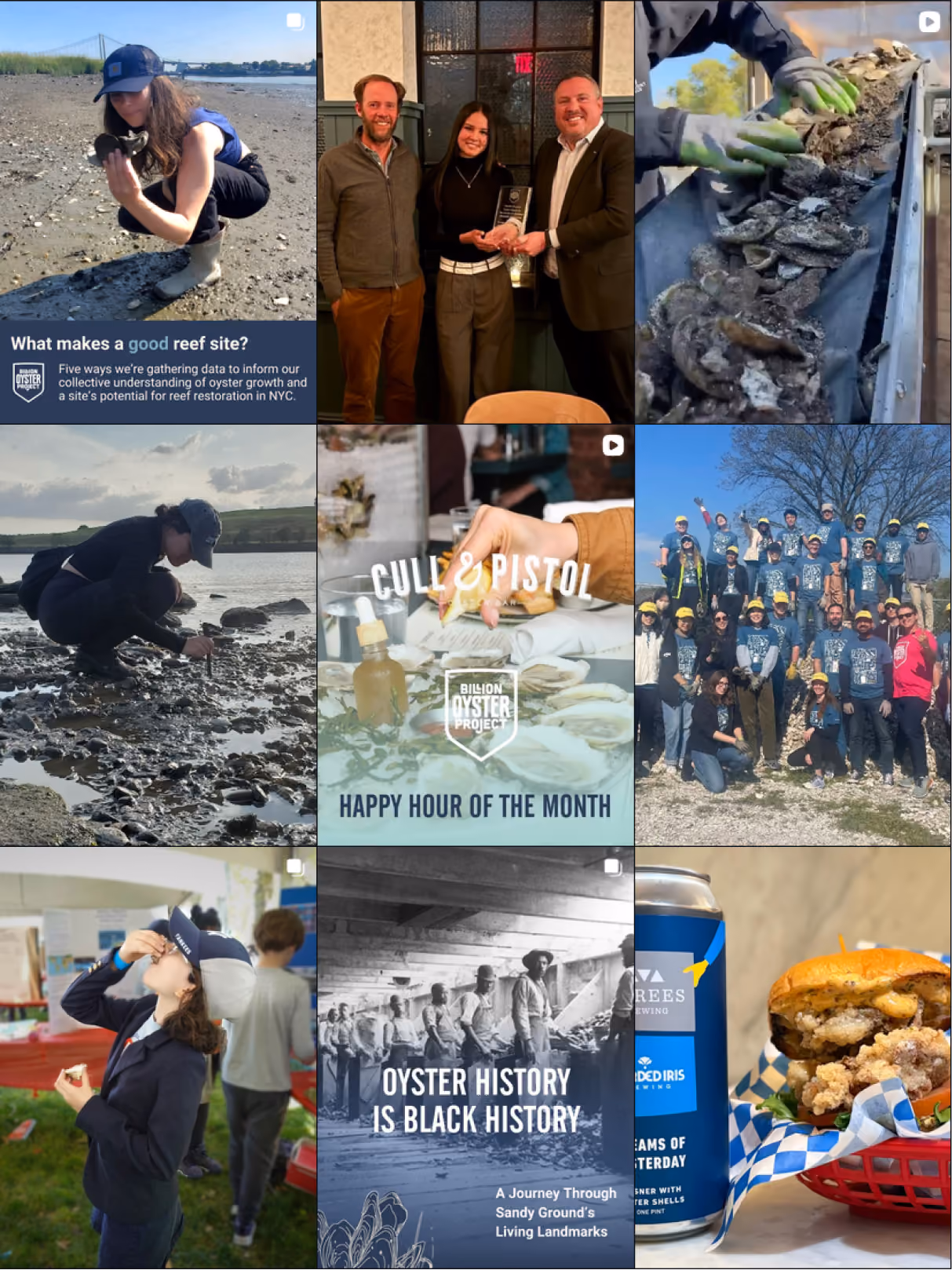 Billion Oyster Project Instagram grid before the rebrand: mixed colours, type styles and photography