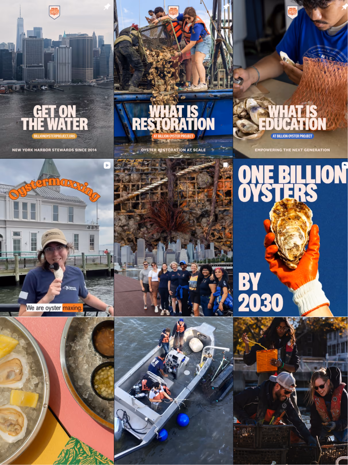 Billion Oyster Project Instagram grid after the rebrand: consistent compressed type, labels and a grid-wide triptych