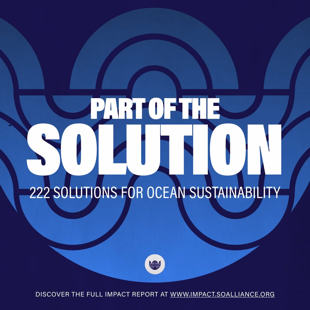Instagram post reading 'Part of the solution: 222 solutions for ocean sustainability' over a blue wave pattern