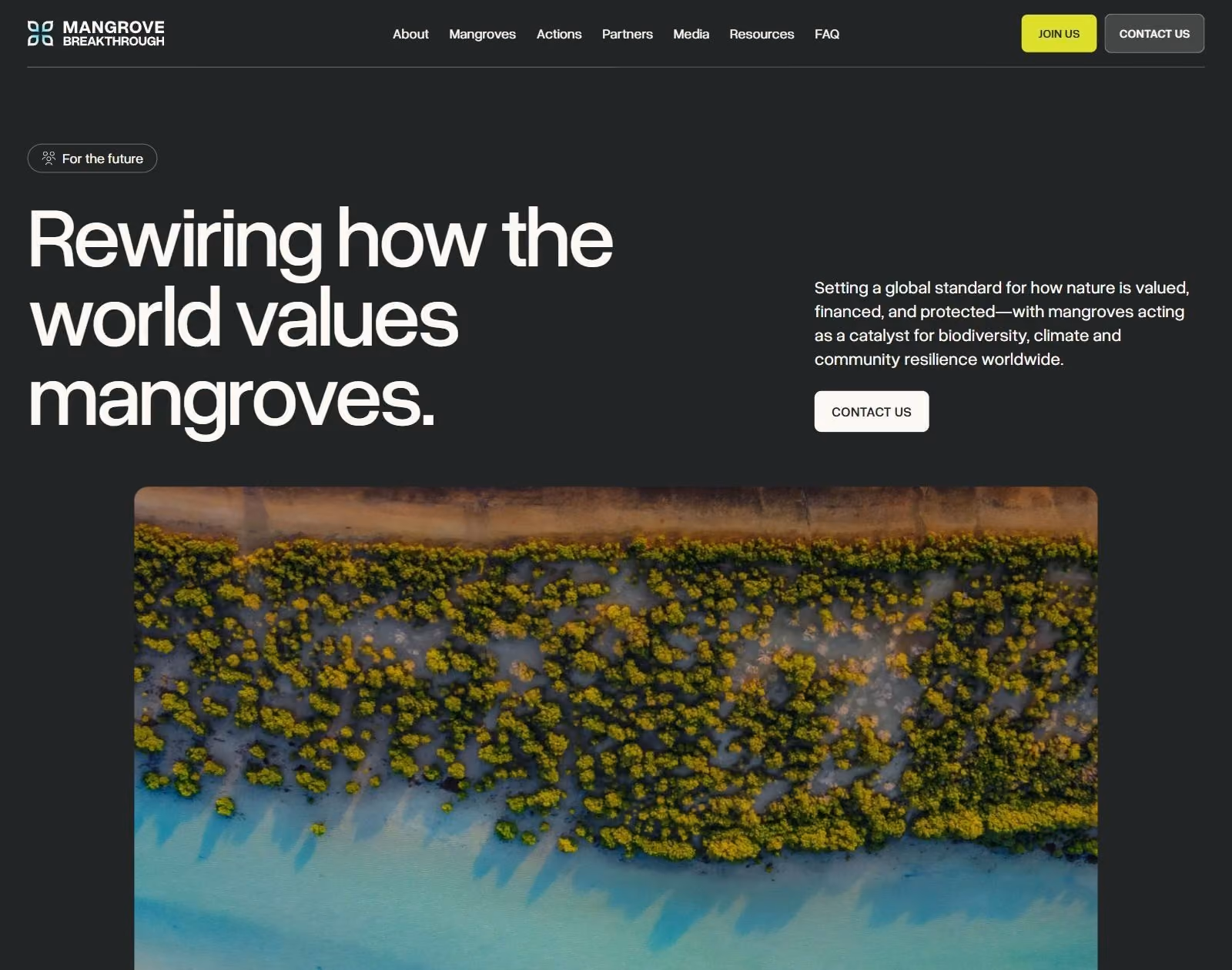 Mangrove Breakthrough homepage: 'Rewiring how the world values mangroves.' above an aerial photo of mangroves meeting turquoise water