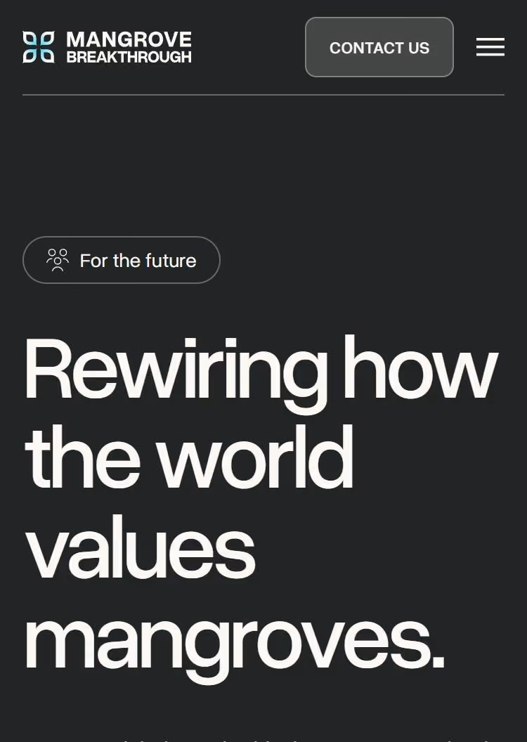 The Mangrove Breakthrough homepage on a phone