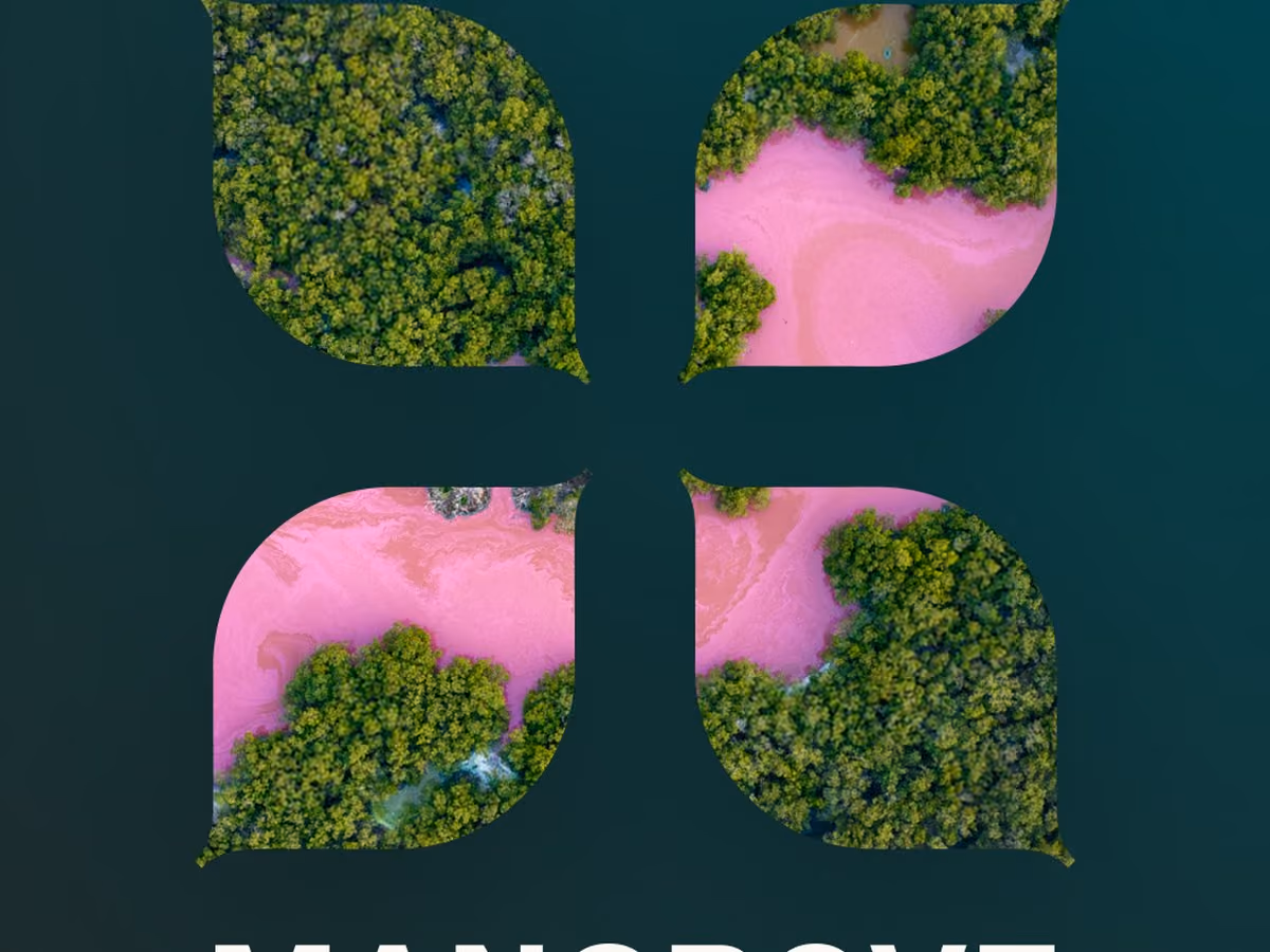 Mangrove Breakthrough identity: the clover's petals cut out of aerial mangrove photography