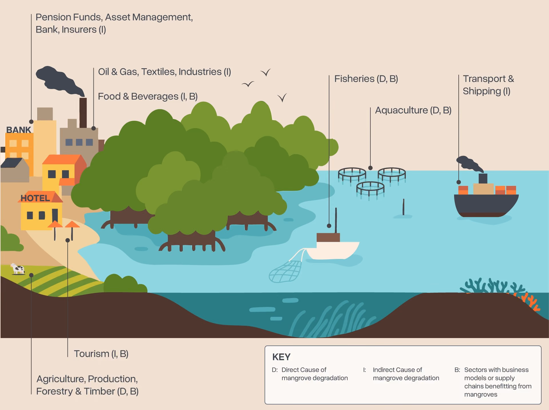 Illustration of a coastline where mangroves sit between industry, farming, tourism, fisheries, aquaculture and shipping, with a key for direct and indirect causes of degradation