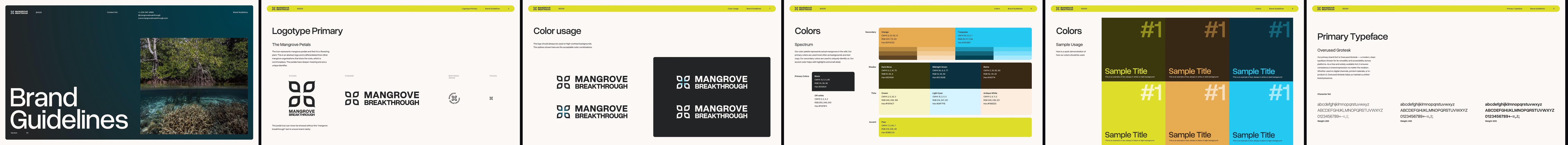 Brand guideline pages: the cover, the primary logotype, color usage, the color spectrum, sample color pairings and the primary typeface