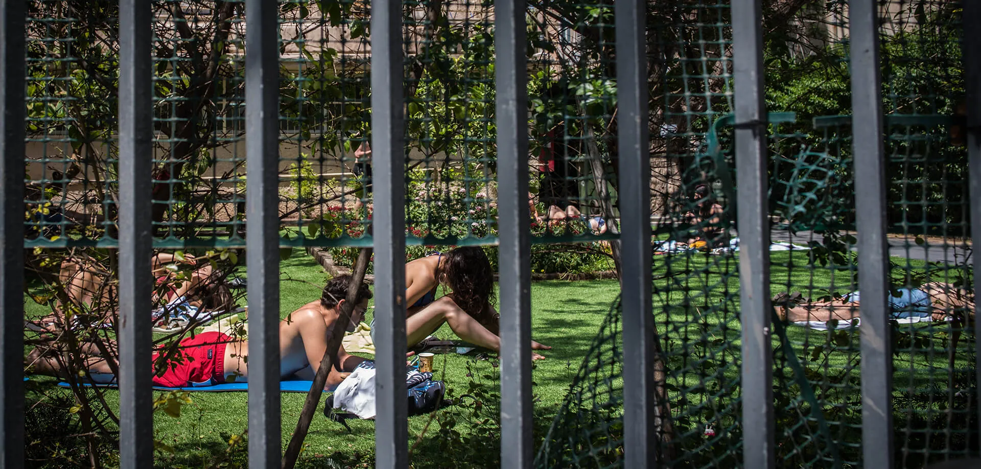משתזפים בגינה בתל אביב. כמה אפשר להיות בבית? צילומים: ביאה בר קלוש