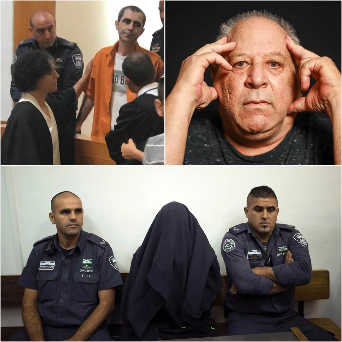 פרויקט החפות