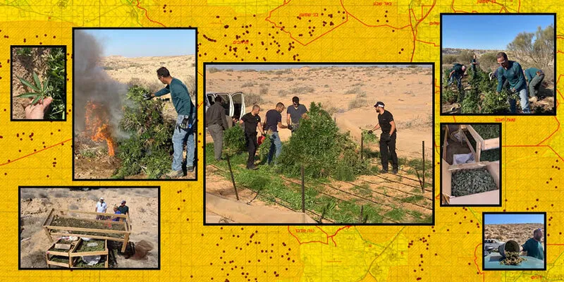 קולומביה זה כאן: שומרים חושפים את מפת הקנאביס בדרום