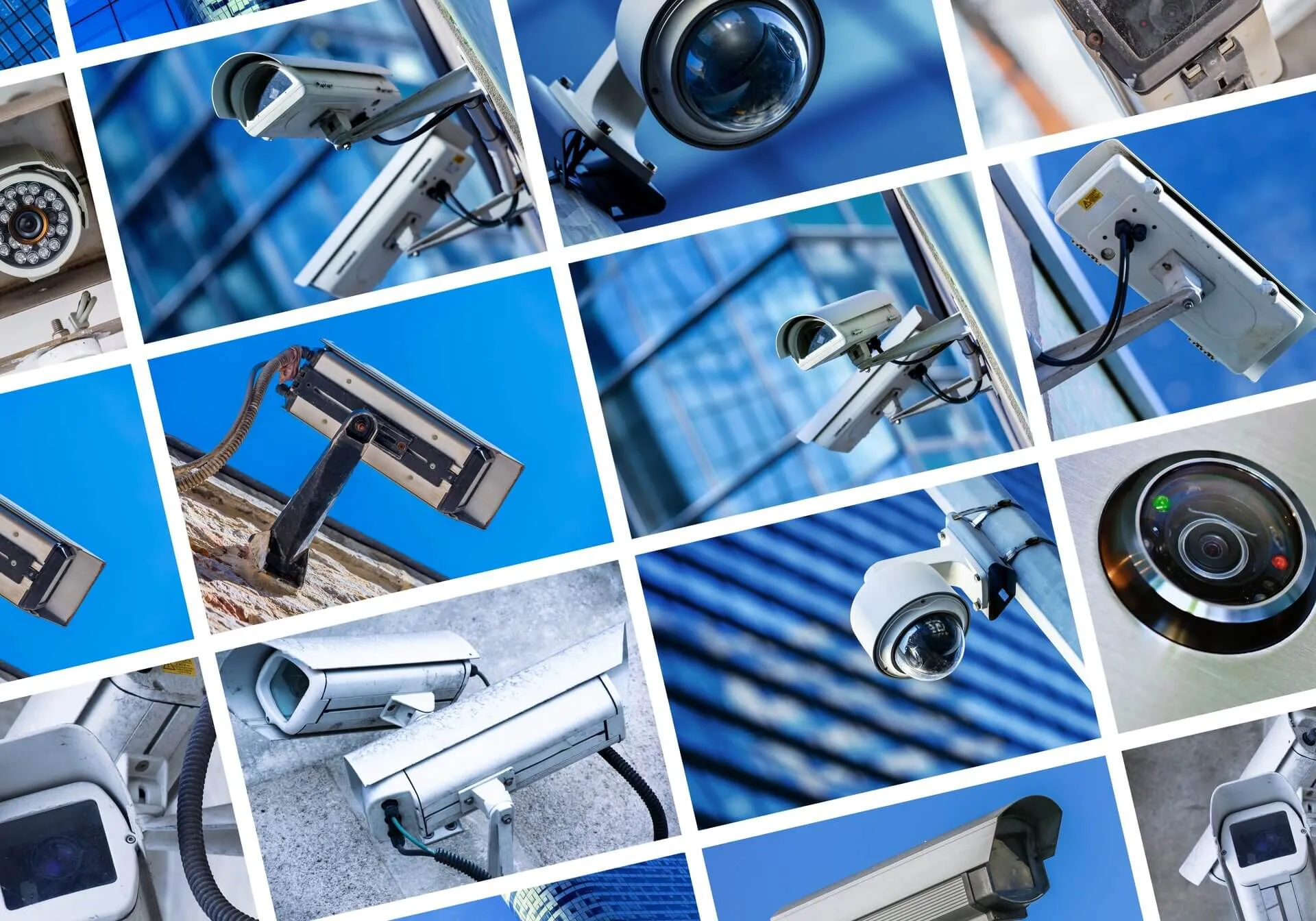 Photo: Shutterstock
