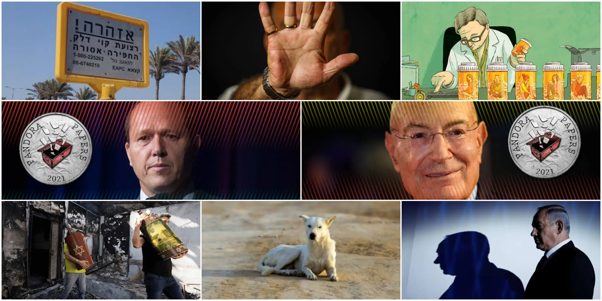 צילומים: שלומי יוסף, דניאל דולב, רויטרס, שאטרסטוק. איור: מורן ברק