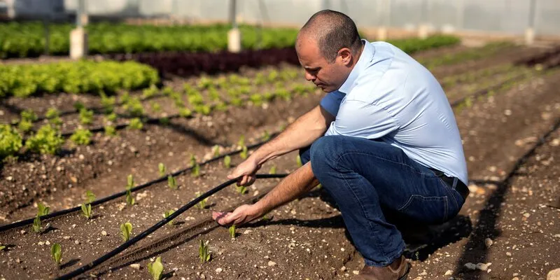 חקלאות עצמאית? התלות בממשלה רק גדלה