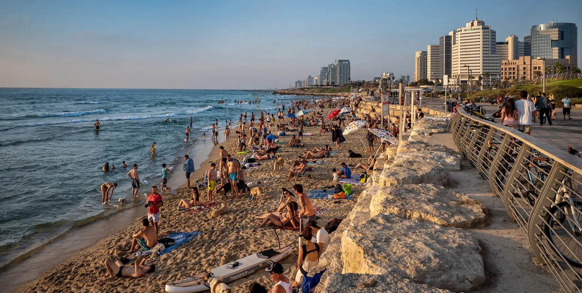צילום: שאטרסטוק