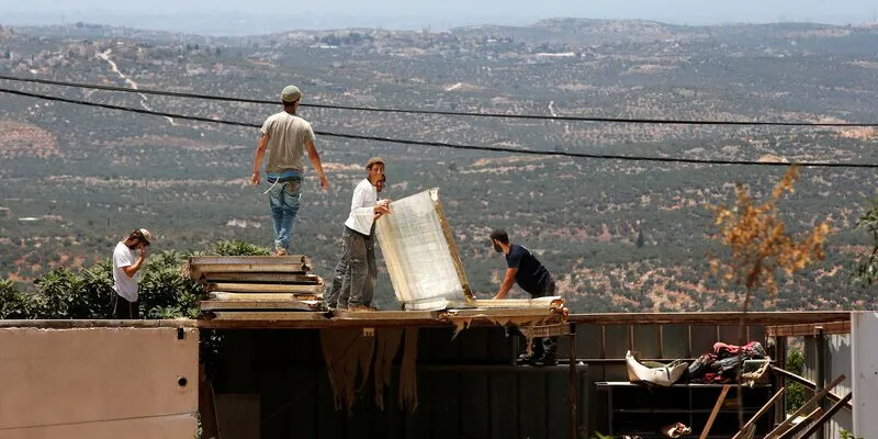 נוער הגבעות - כלכליסט