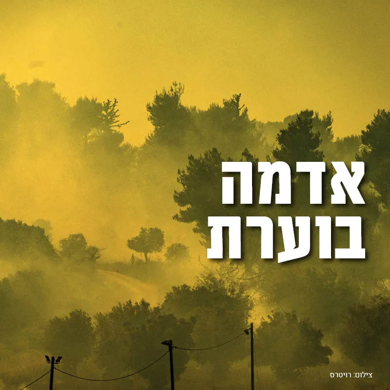 צילום: רויטרס