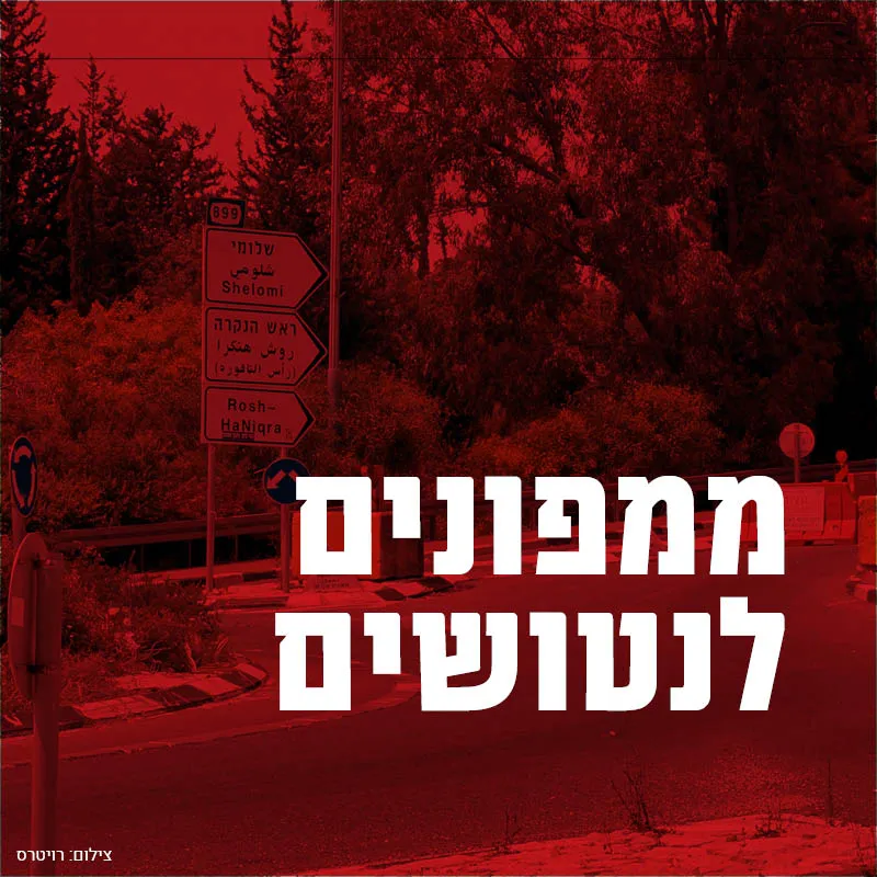 צילום: רויטרס