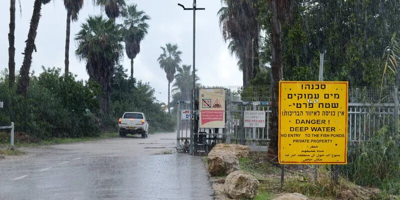 סיפורי דגים - מאקו
