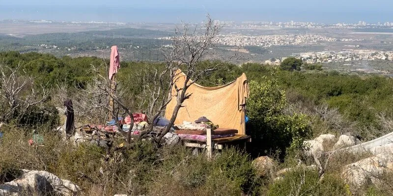שבחים - הארץ