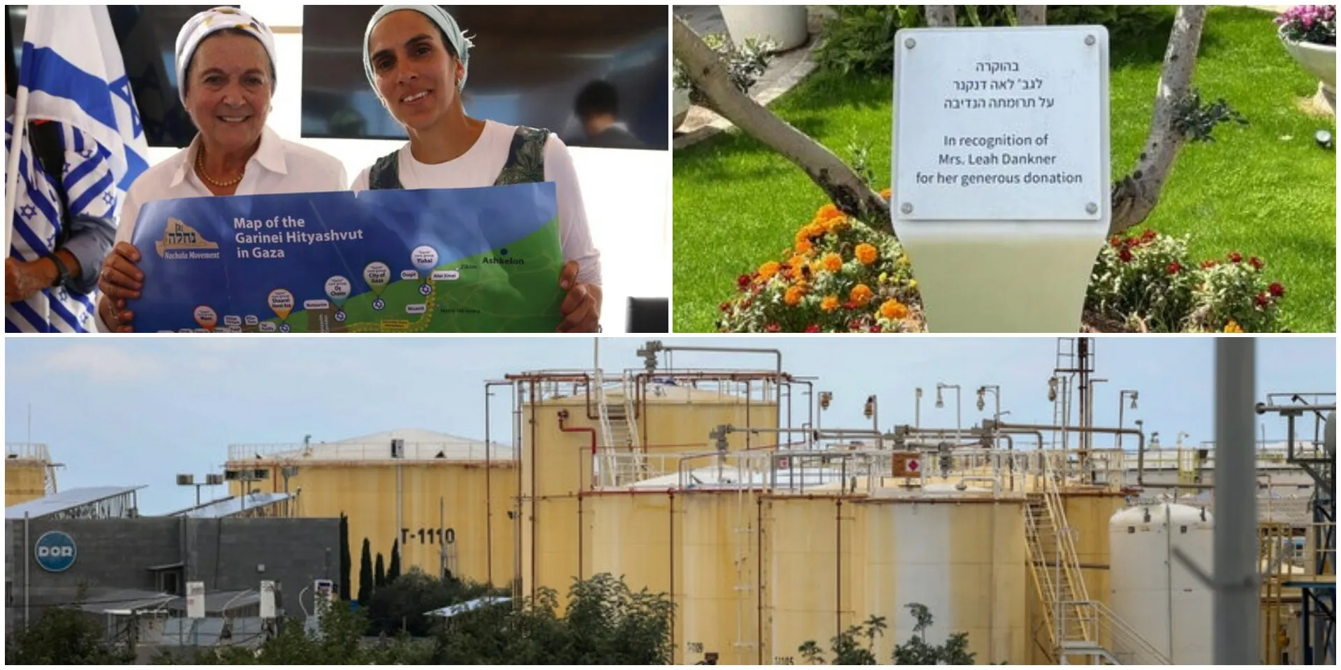 דניאלה וייס על גבול עזה באוקטובר האחרון (משמאל), הגינה באיכילוב בהוקרה ללאה דנקנר ומפעל חיפה כימיקלים במפרץ חיפה. צילומים: שלומי יוסף, רויטרס